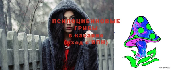 apvp Беломорск