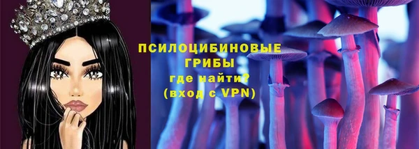 apvp Беломорск