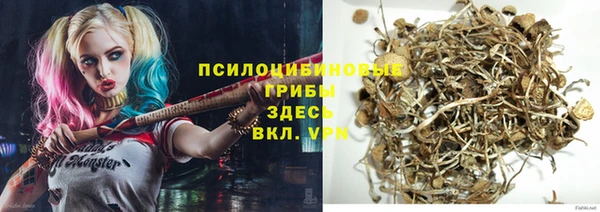 ПСИЛОЦИБИНОВЫЕ ГРИБЫ Белоозёрский