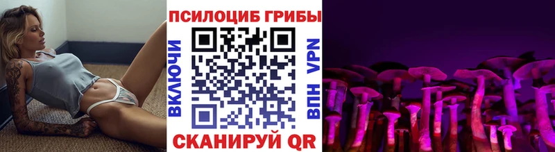 Галлюциногенные грибы Psilocybe  продажа наркотиков  Пыть-Ях 